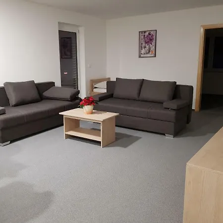 Apartmaji Jankovic Konukevi *