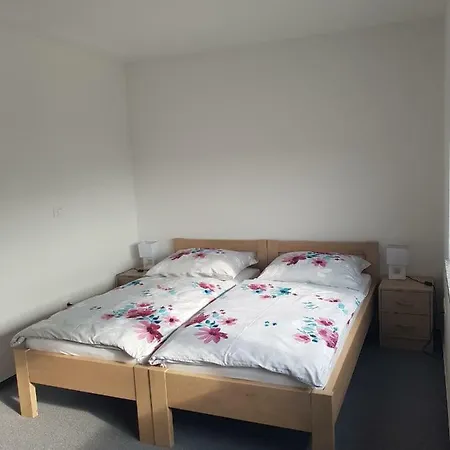 Apartmaji Jankovic 3*