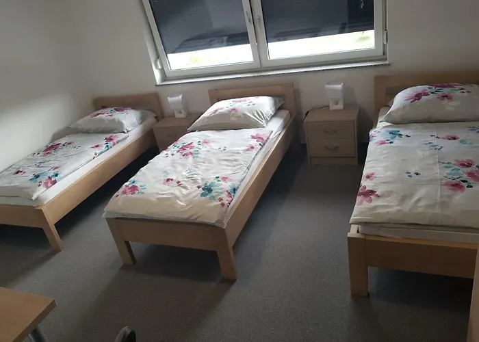 Apartmaji Jankovic بيت ضيافة