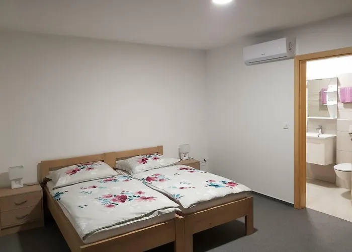 بيت ضيافة Apartmaji Jankovic
